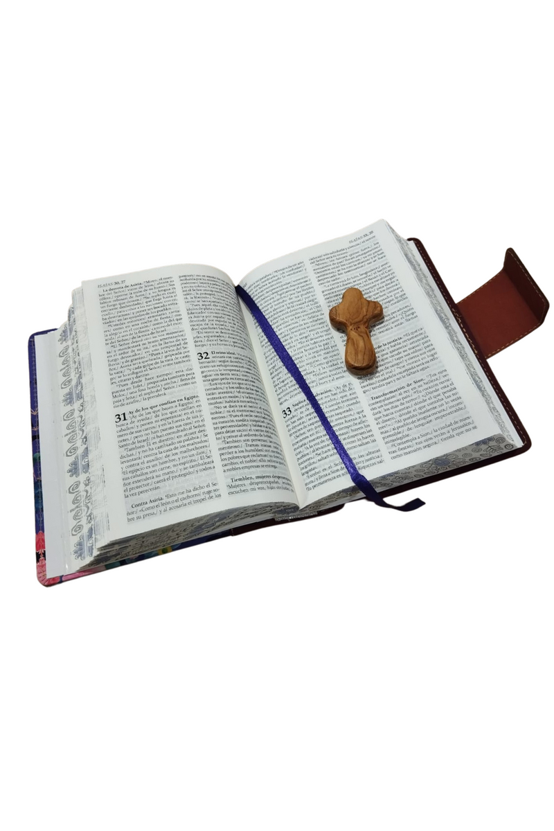 LA SAGRADA BIBLIA DE AMERICA PARA CHICAS